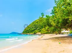 ayx-海滨雄鲨队击败齐鲁山猫队，拉力赛大奖赛上演裁判判罚引热议！重拾自信的夜晚